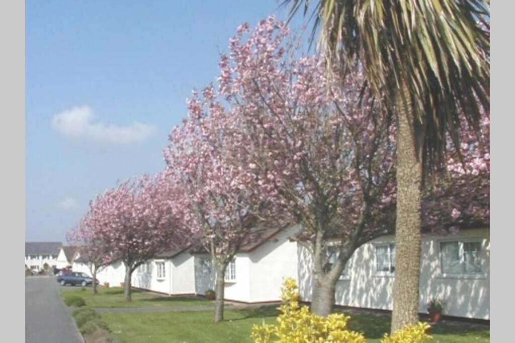 Perfect For The Family And Beaches - Gower Cwtch Villa Swansea Exteriör bild