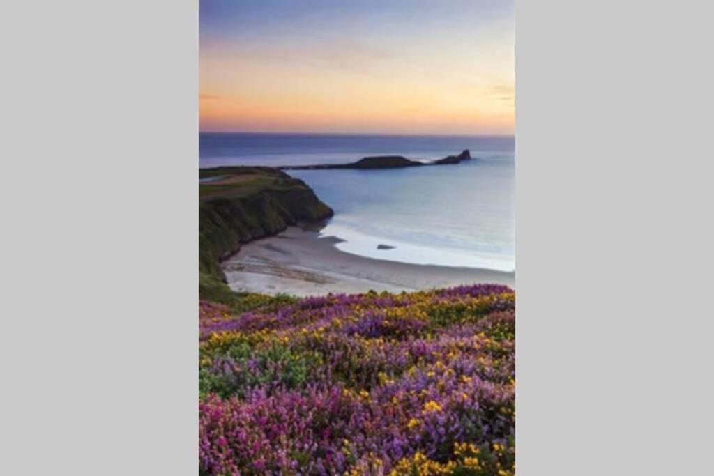 Perfect For The Family And Beaches - Gower Cwtch Villa Swansea Exteriör bild